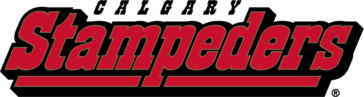 calgary stampeders 2000-2011 wordmark logo t shirt iron on transfers